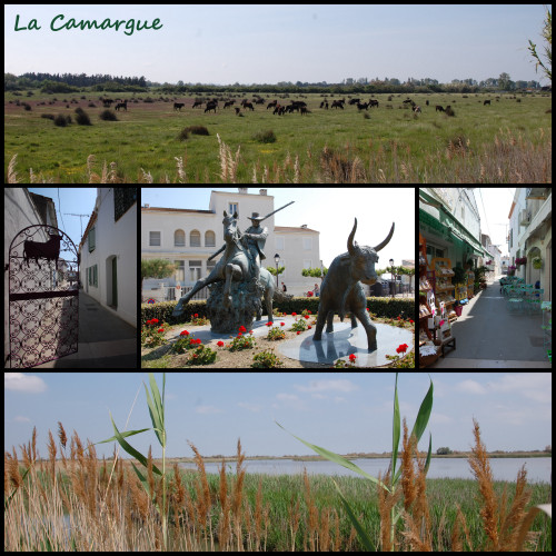 La camargue