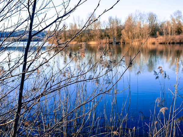 Une balade au parc...