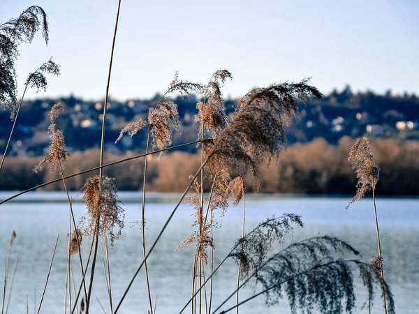 Une balade au parc...